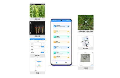 白山市小麦表型检测仪IN-XM04