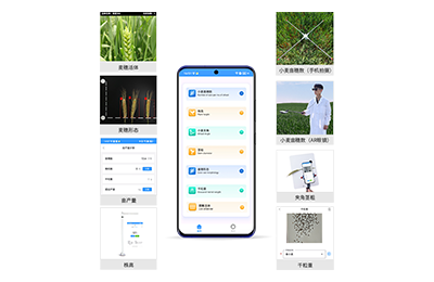 白山市小麦表型测量仪IN-XM05